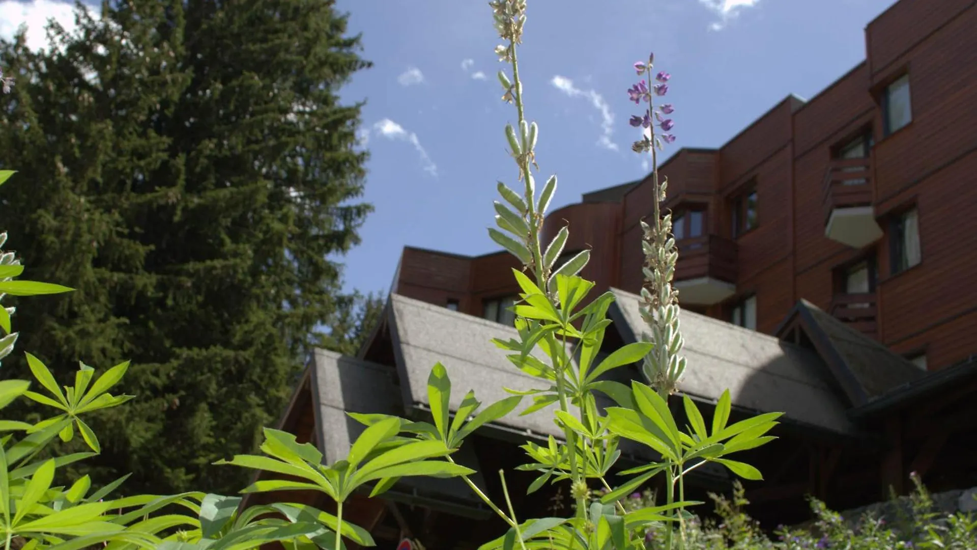 Courchevel : Appartement 6 Pers, Confort, Parking, Wi-Fi - Fr-1-575-228 0*,  France